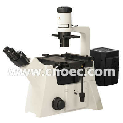 200X Epi - lâmpada A16.2702 100X do halogênio do microscópio de fluorescência - 400X