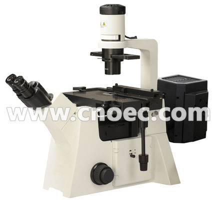 200X Epi - lâmpada A16.2702 100X do halogênio do microscópio de fluorescência - 400X